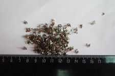 Палладий 58% бегунок с СП3; СП5